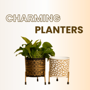 planters-thumbnail