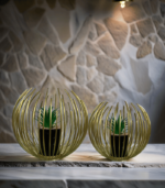 Golden Halo Planter
